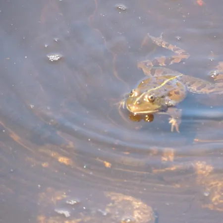 Casa Do Forno Fr Appartamento *