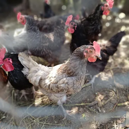 Casa Do Forno Fr Appartement Mondim de Basto